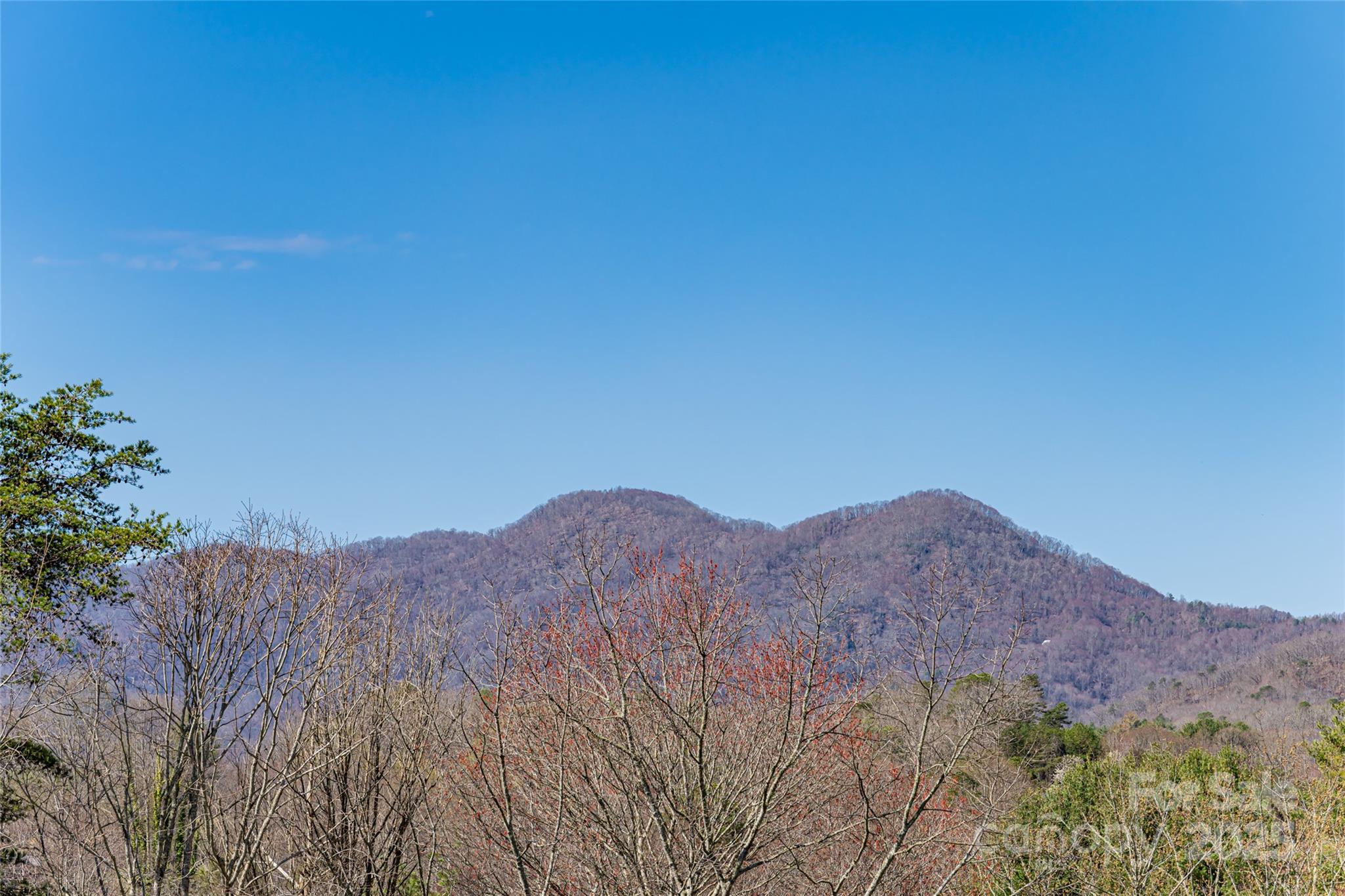 402 Tillery Road Leicester, NC 28748 - Photo 6 of 38 Gallery Image 6