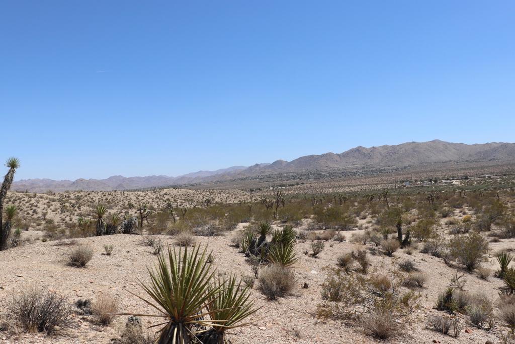 0 Alta Avenue Yucca Valley, CA 92286 - Photo 3 of 9 Jr1