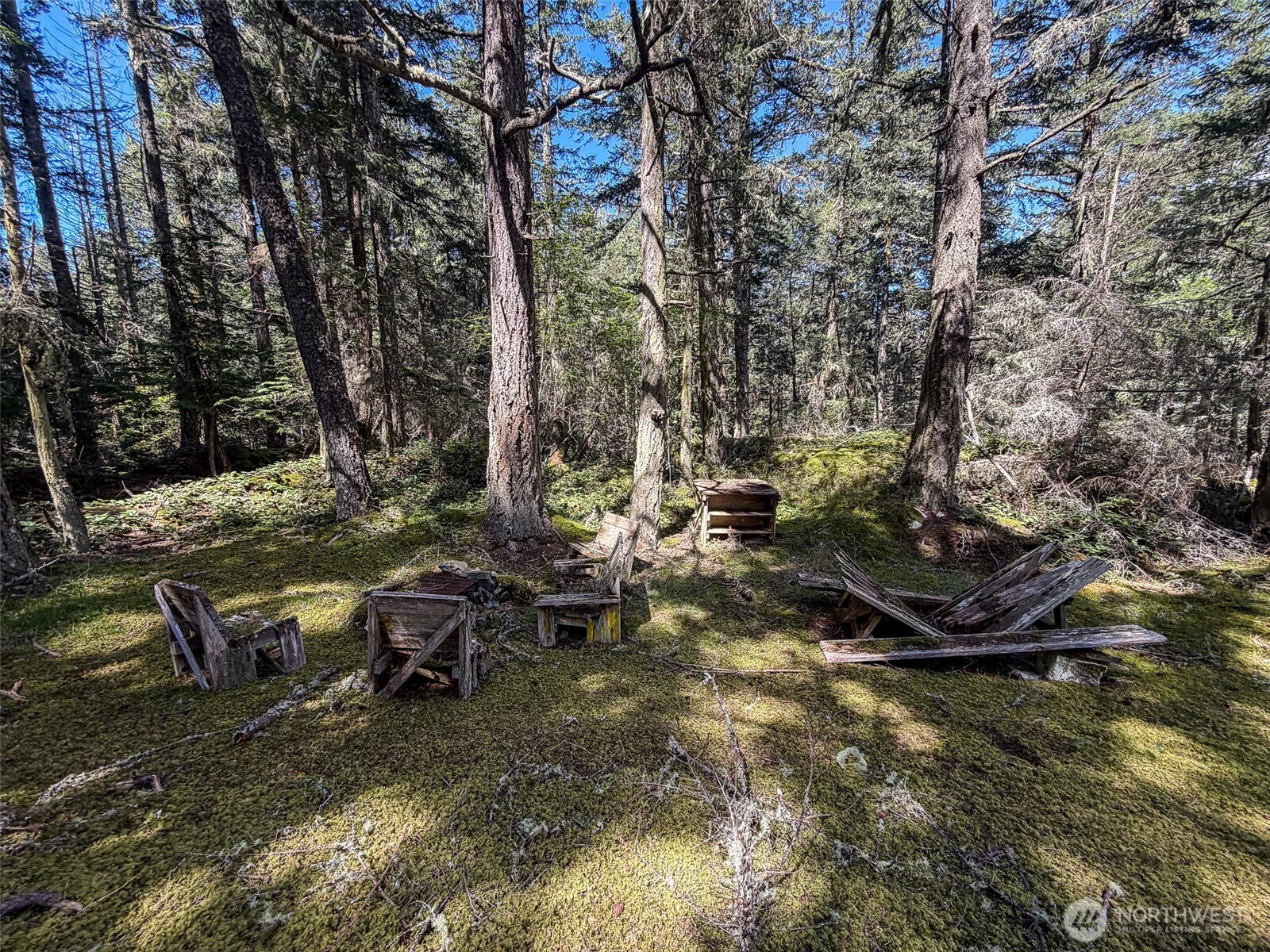 585 Deer Point Road Orcas Island, WA 98279 - Photo 20 of 26