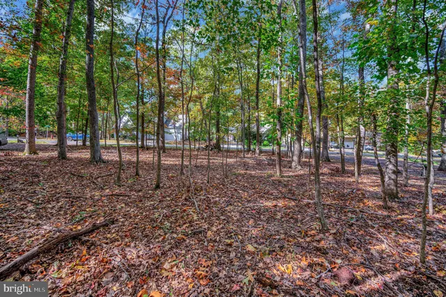 $115,000 | 107 Gold Valley Road, Locust Grove, VA 22508