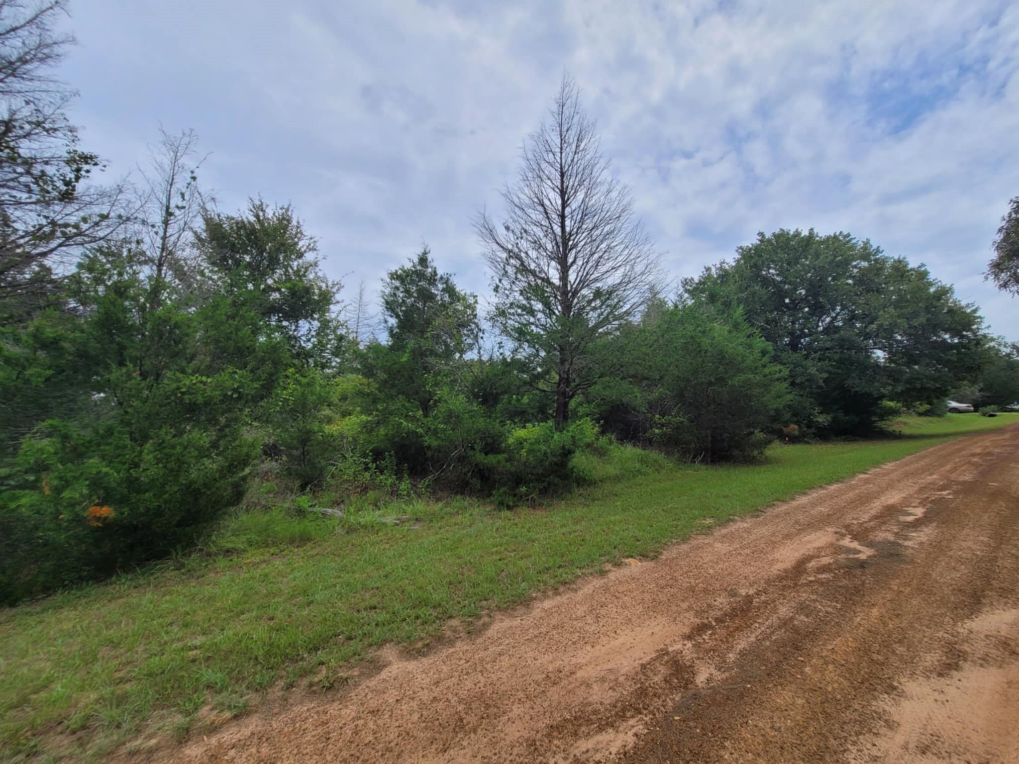 Lot 35 Redwood Hempstead, TX 77445 - Photo 2 of 9
