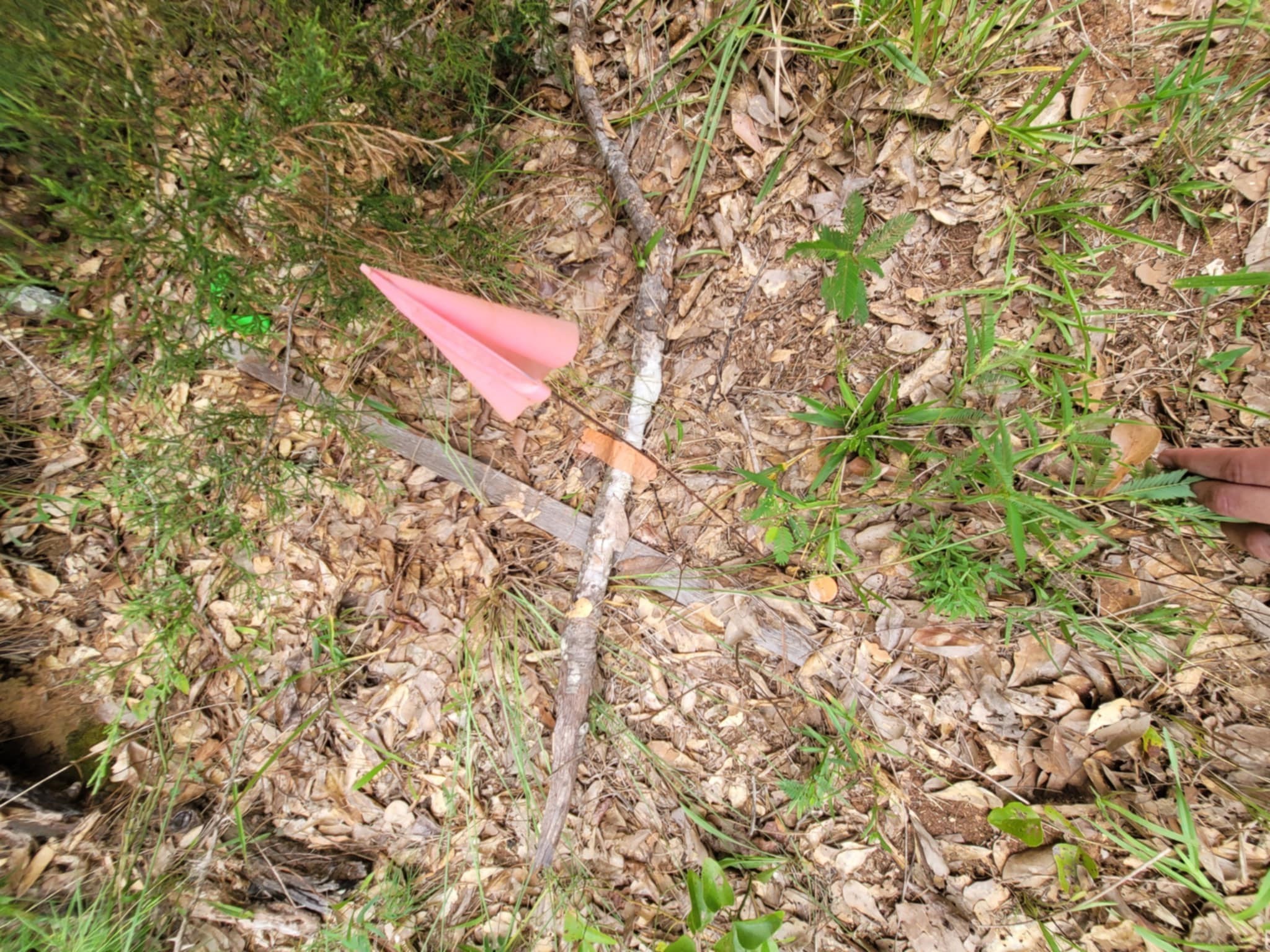Lot 35 Redwood Hempstead, TX 77445 - Photo 4 of 9 a view of a tree with a tree