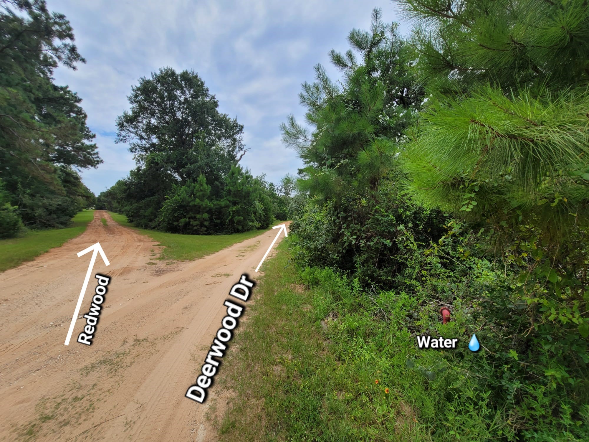Lot 35 Redwood Hempstead, TX 77445 - Photo 5 of 9 a view of a street with potted plants and large trees