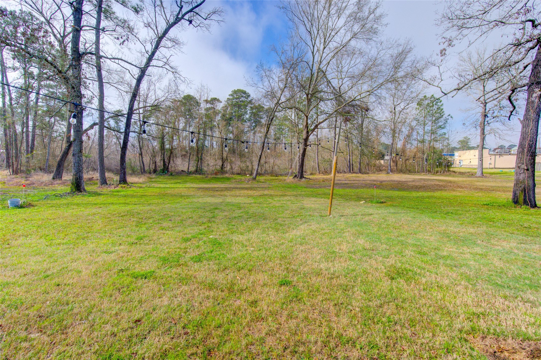 25324 Ravencrest Drive Porter, TX 77365 - Photo 6 of 39 a big yard with trees in front of it