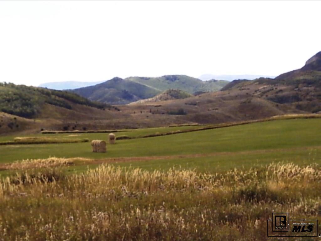 140 Oak Ridge Drive Oak Creek, CO 80467 - Photo 2 of 26