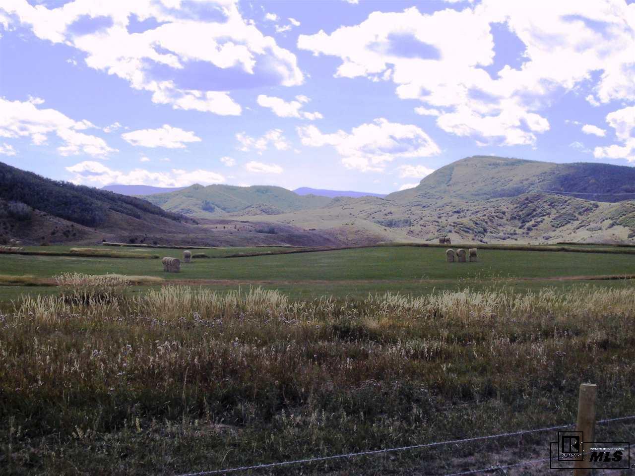 140 Oak Ridge Drive Oak Creek, CO 80467 - Photo 12 of 26