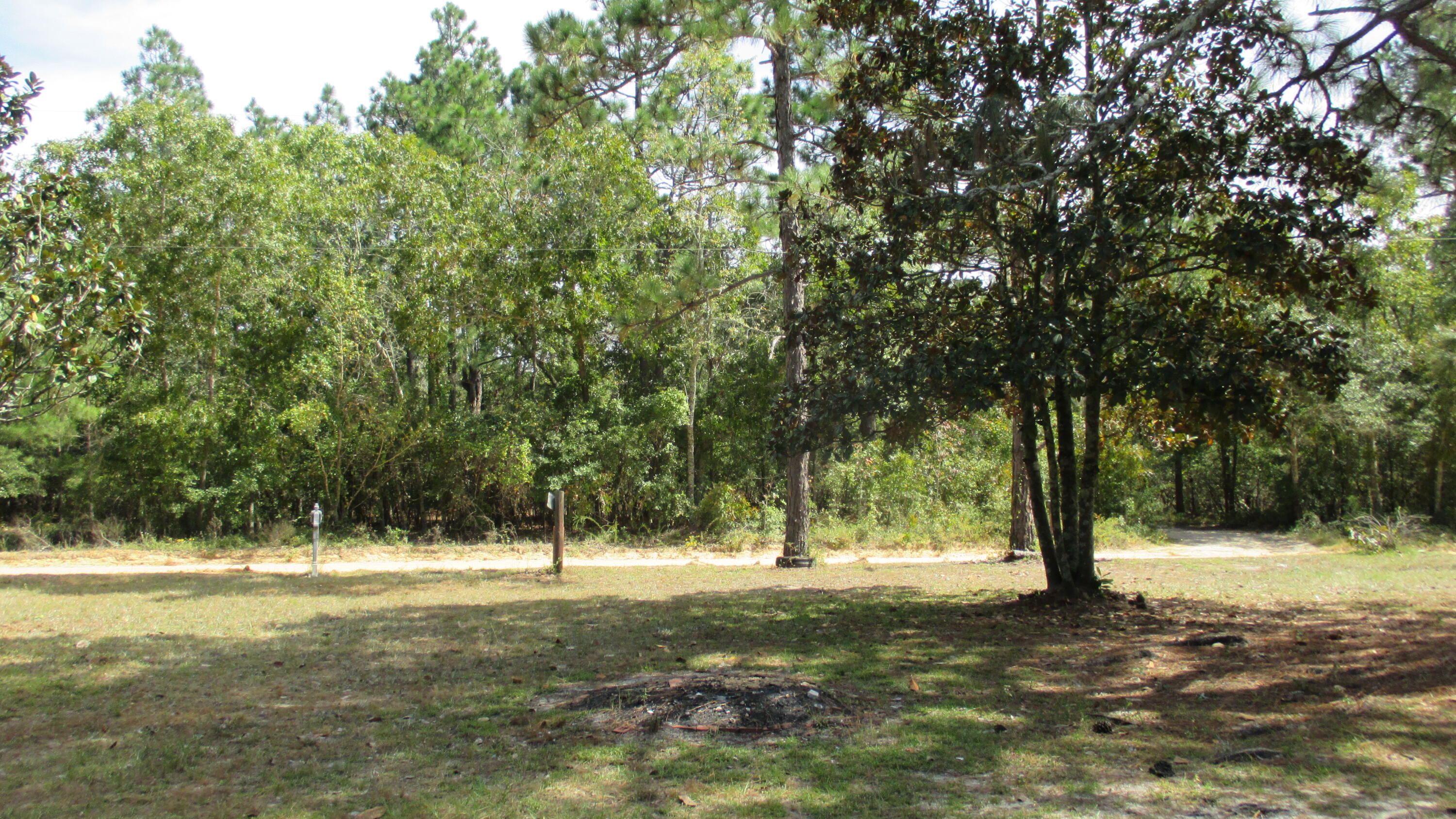 1153 Shadow Lane Road Wagener, SC 29164 - Photo 27 of 31 27 yard