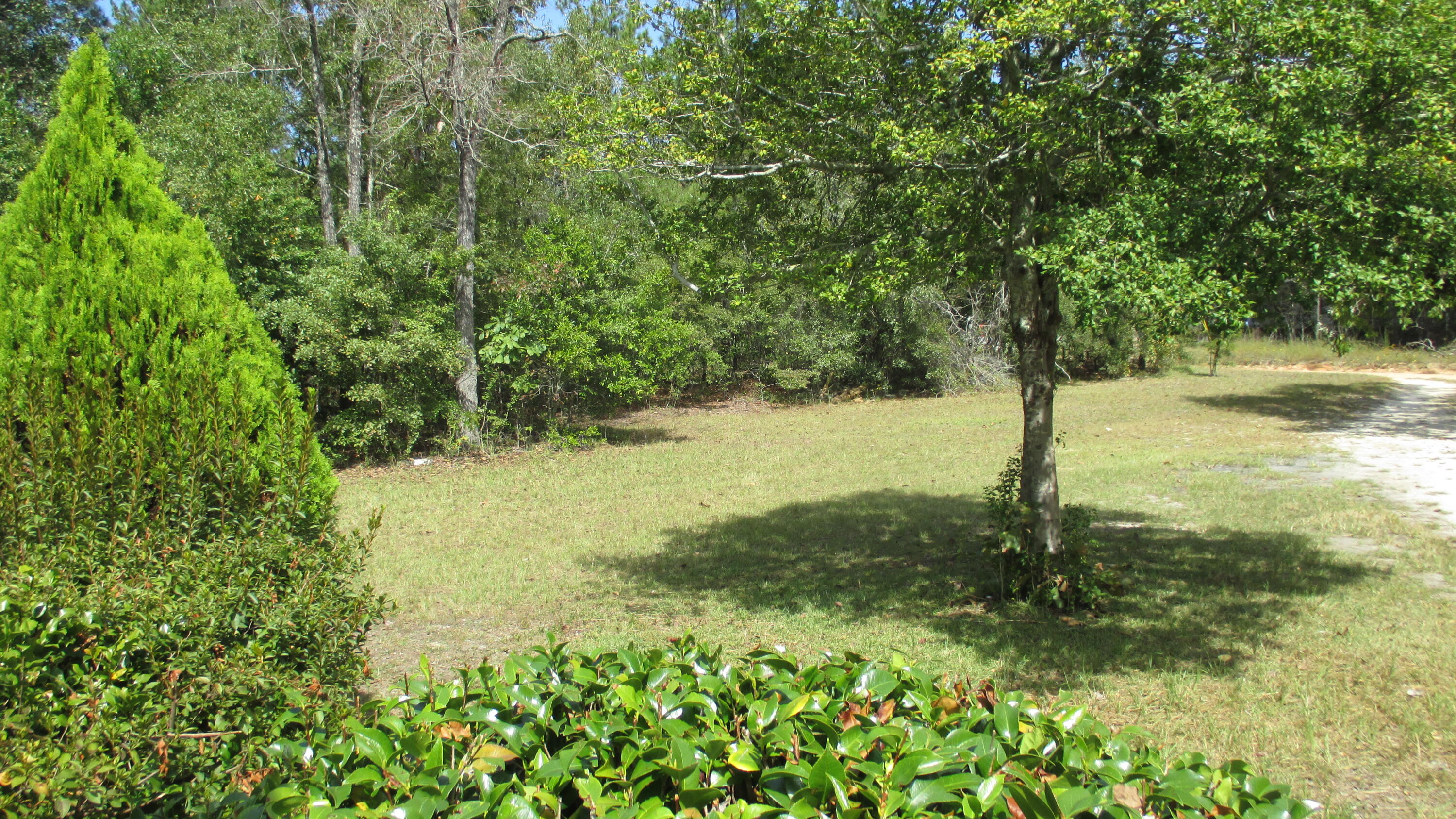 1153 Shadow Lane Road Wagener, SC 29164 - Photo 28 of 31 28 yard