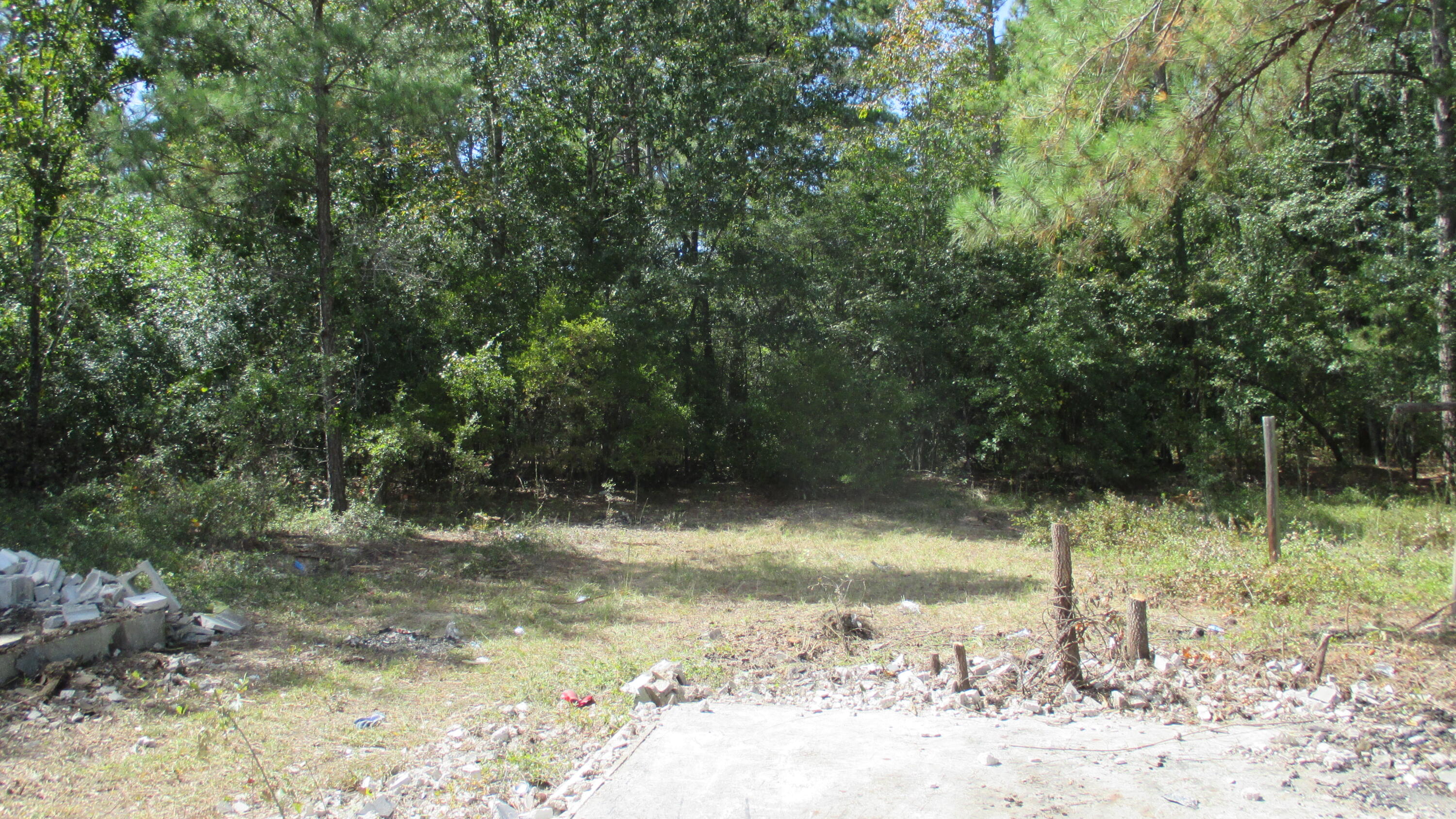 1153 Shadow Lane Road Wagener, SC 29164 - Photo 29 of 31 29 rear yard