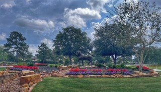 18 Rugged Lark Circle Tomball, TX 77377 - Photo 49 of 50 Hidden Gem in North Houston area