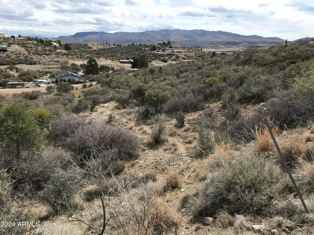 a view of a town with mountains in the background