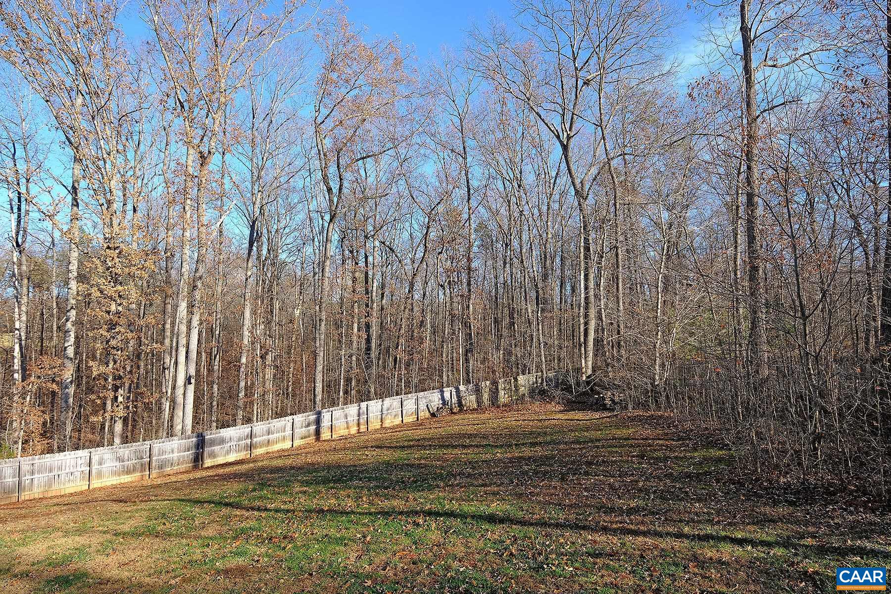 115 Reedy Creek Road Louisa, VA 23093 - Photo 15 of 17 a view of a yard with a trees