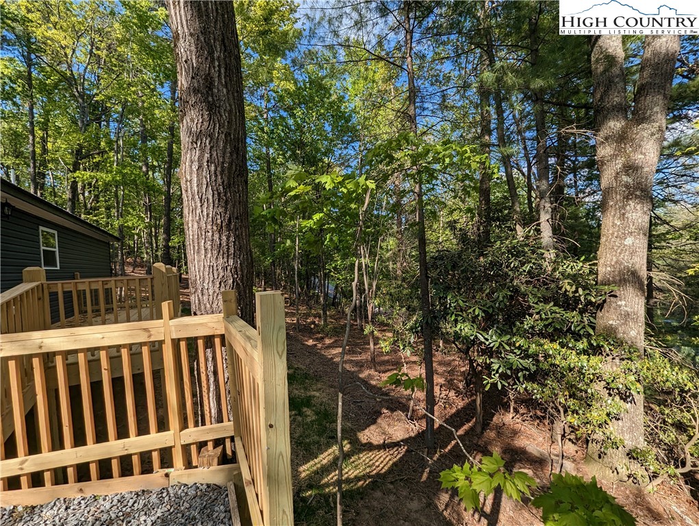 44 Araniska Road Glade Valley, NC 28627 - Photo 3 of 21 Gallery Image 3