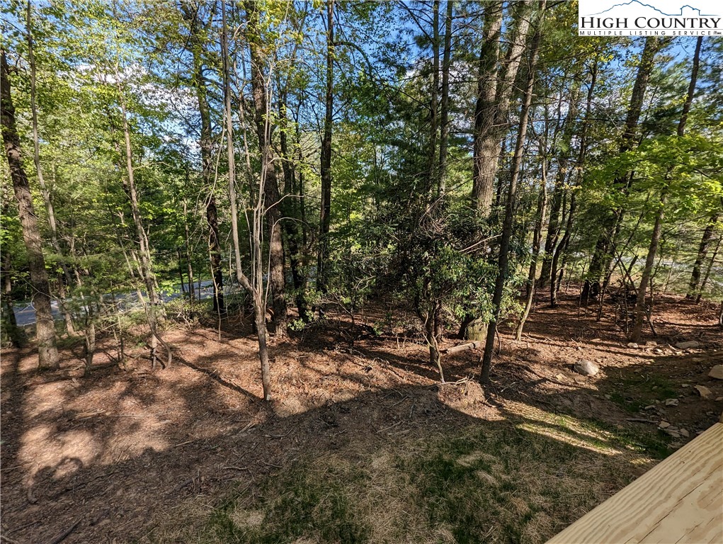 44 Araniska Road Glade Valley, NC 28627 - Photo 6 of 21 Gallery Image 6