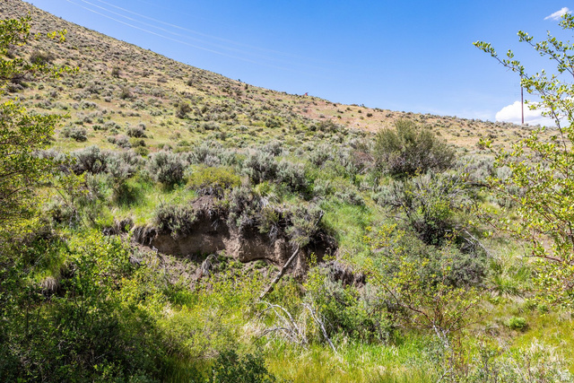 6325 North Elk Ridge, Unit 5 Peoa, UT 84061 - Photo 17 of 20