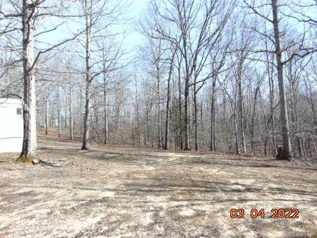 631 Pugh Road Holladay, TN 38341 - Photo 10 of 15 Photo 10