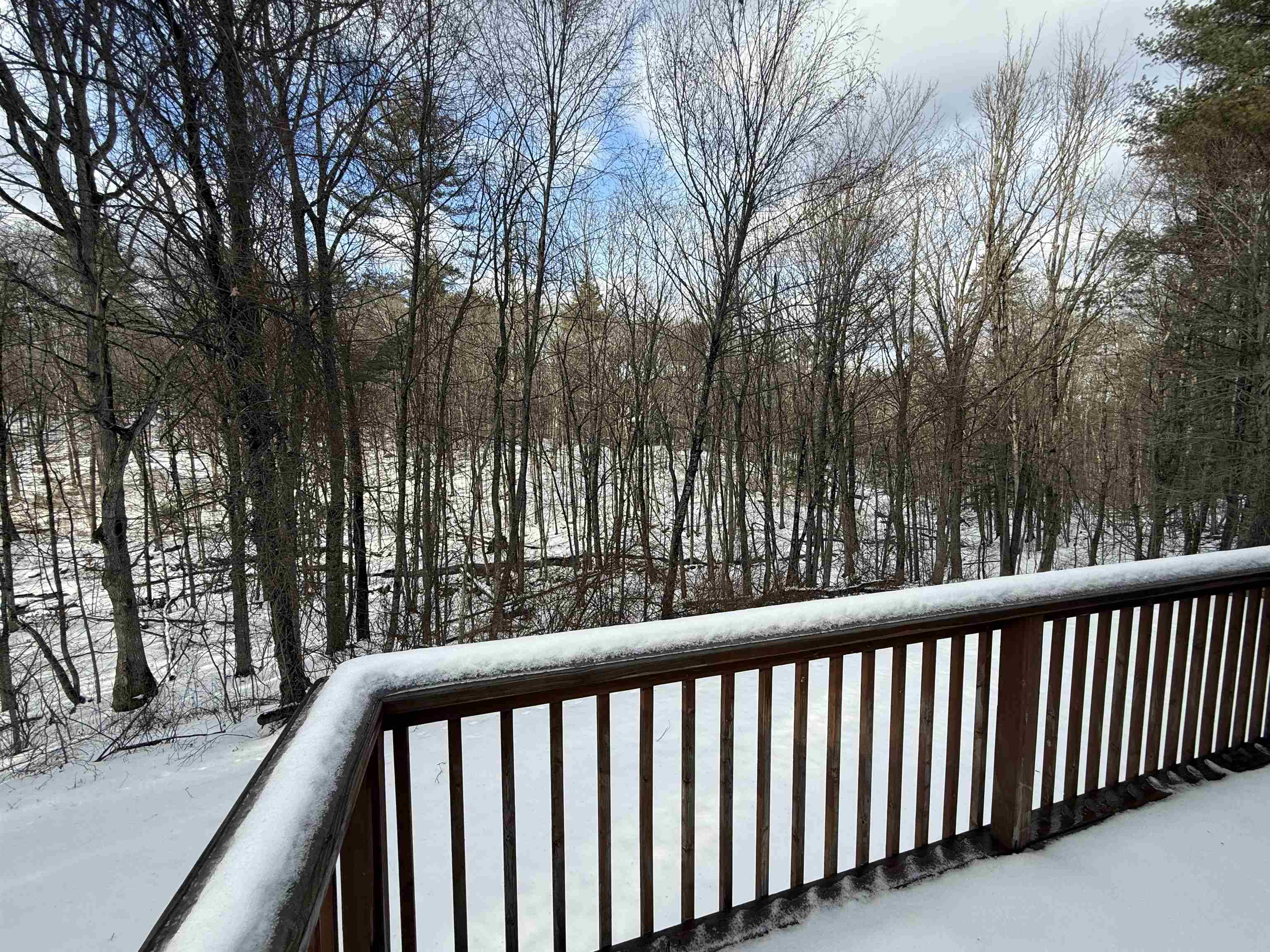 256 Middle Branch Road New Boston, NH 03070 - Photo 8 of 16