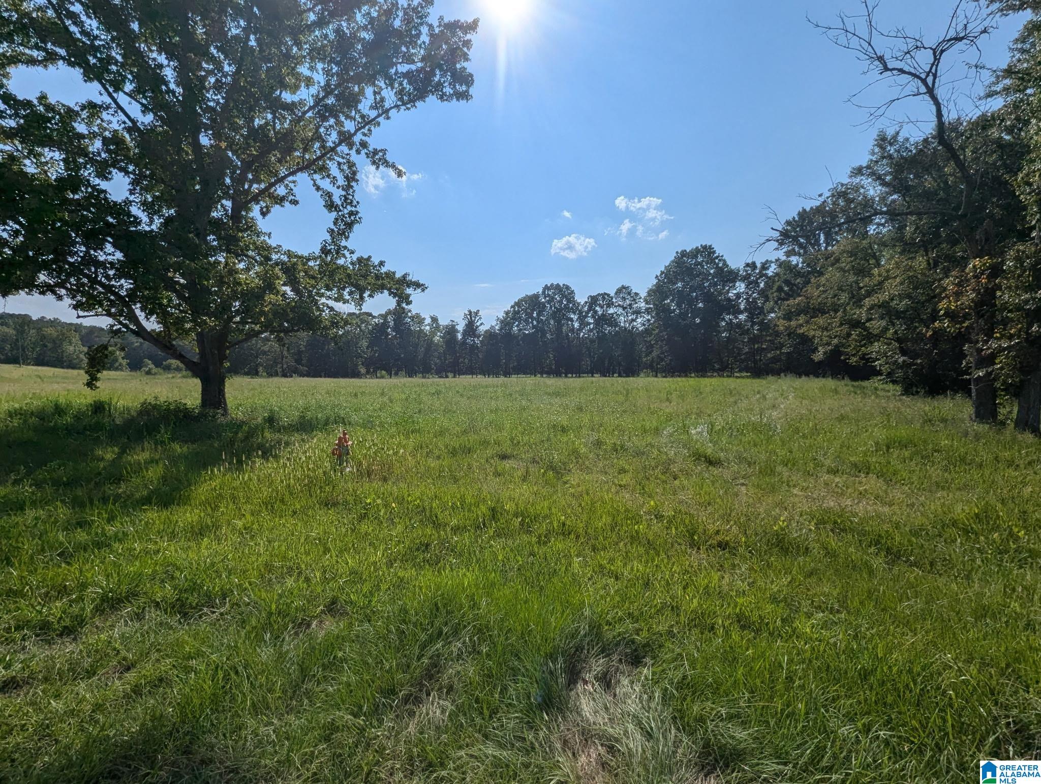 0 Poplar Springs Road Ashville, AL 35953 - Photo 4 of 10