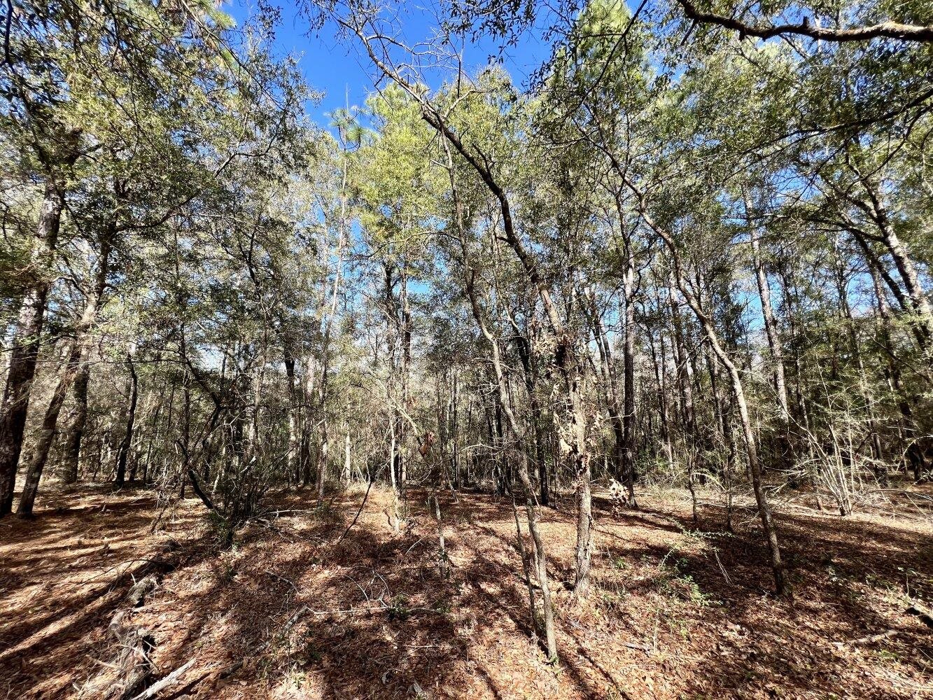 0 Dixon Road Bay Minette, AL 36507 - Photo 40 of 50
