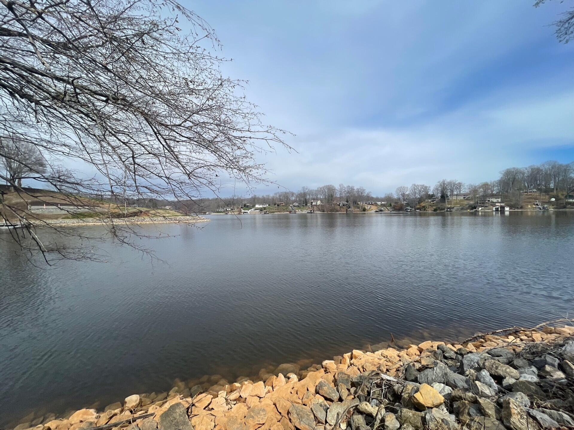 6686 Horseshoe Bend Road Goodview, VA 24095 - Photo 4 of 7 a view of lake