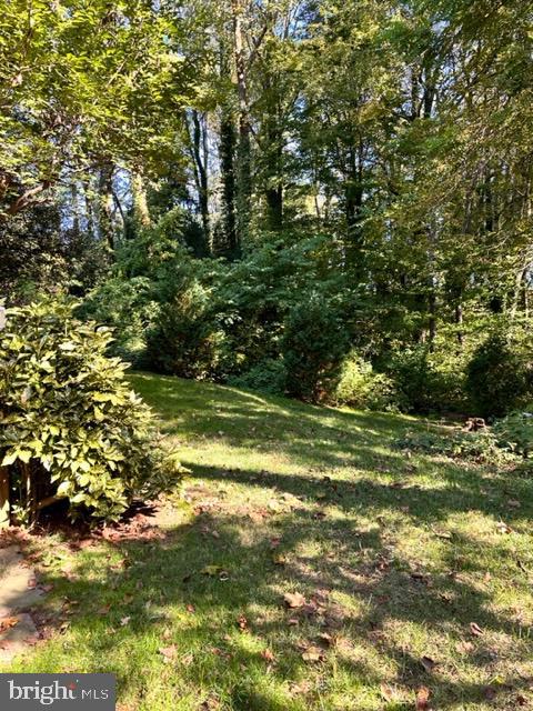 518 Andrew Hill Road Arnold, MD 21012 - Photo 38 of 39 View from your deck