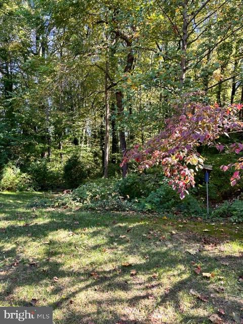 518 Andrew Hill Road Arnold, MD 21012 - Photo 39 of 39 Backyard