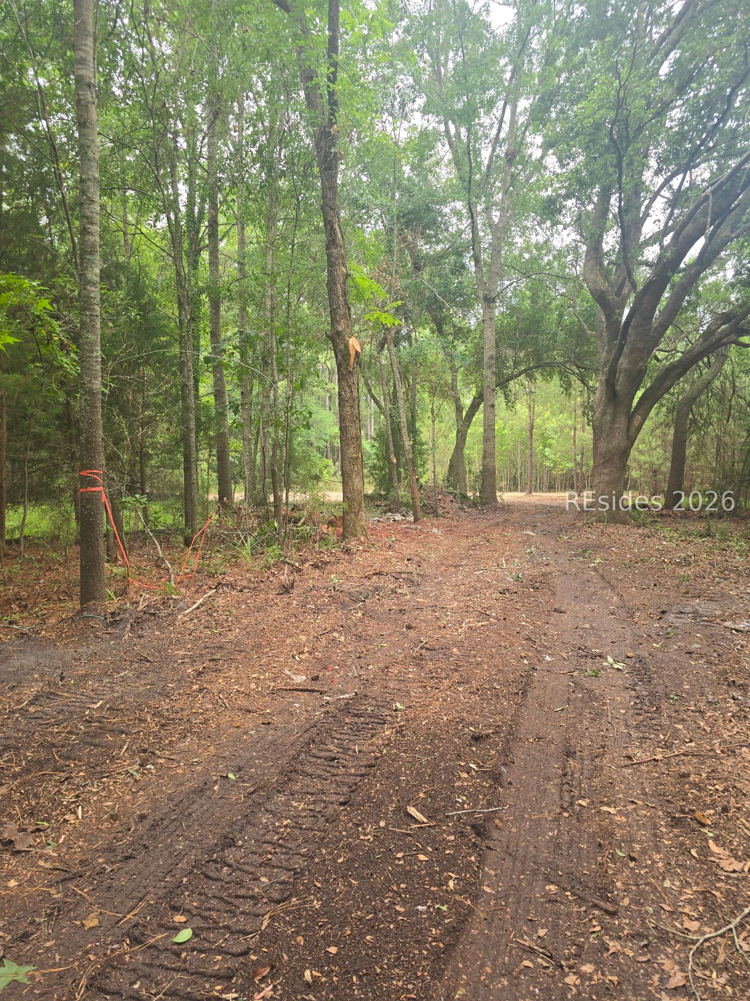 Tbd Firetower Road Ridgeland, SC 29936 - Photo 6 of 17