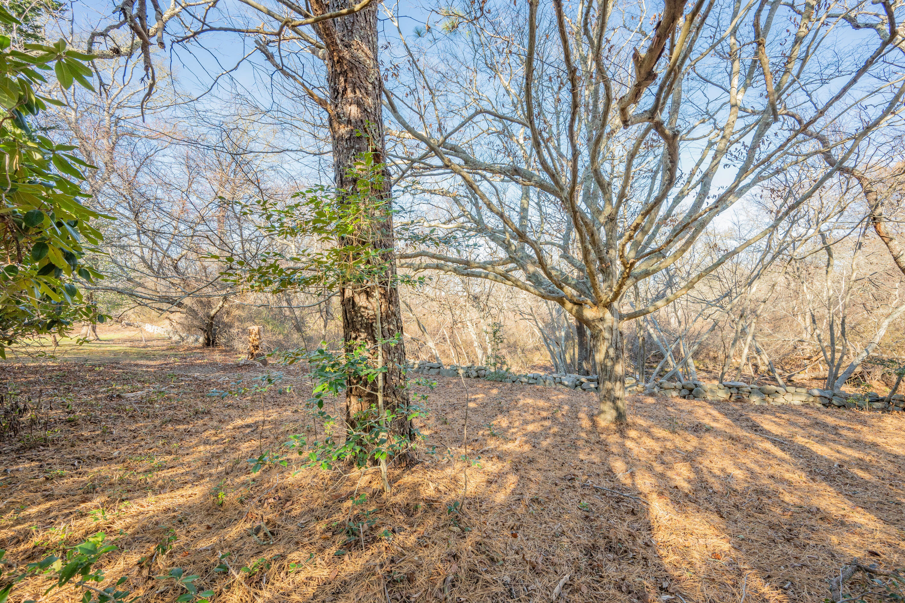 240 Parker Road West Barnstable, MA 02668 - Photo 29 of 43 DSC_8048