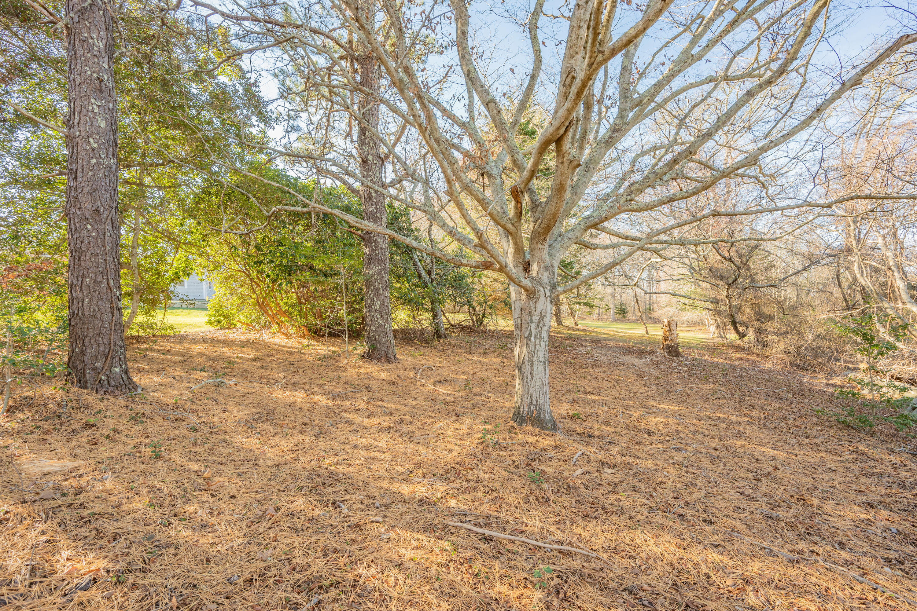 240 Parker Road West Barnstable, MA 02668 - Photo 30 of 43 DSC_8049