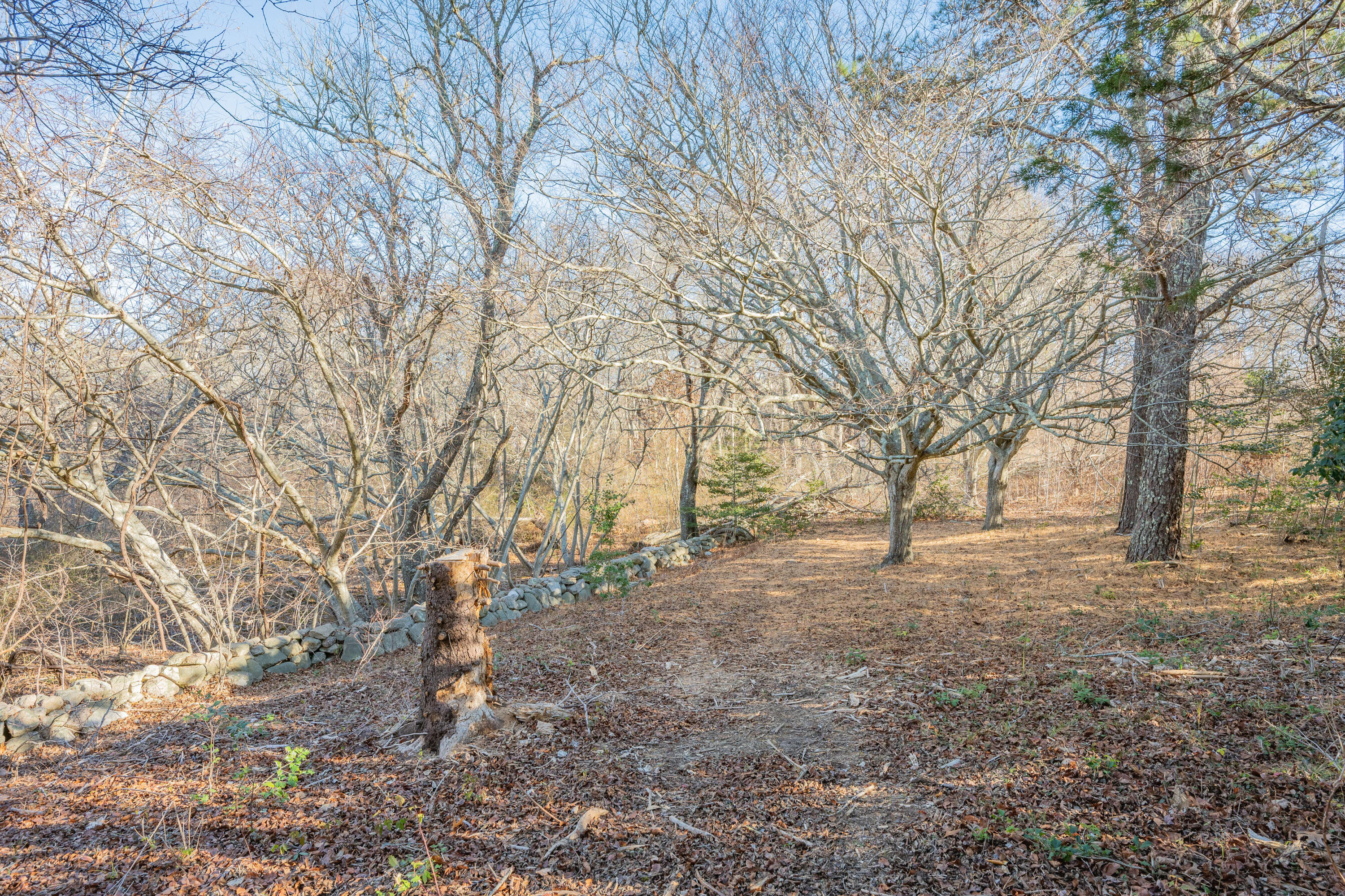 240 Parker Road West Barnstable, MA 02668 - Photo 31 of 43 DSC_8053