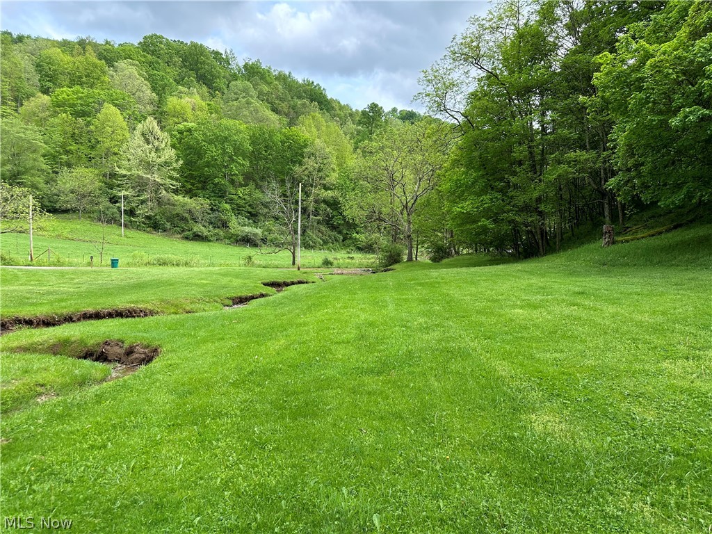 2538 Howell Run Road West Union, WV 26456 - Photo 12 of 21