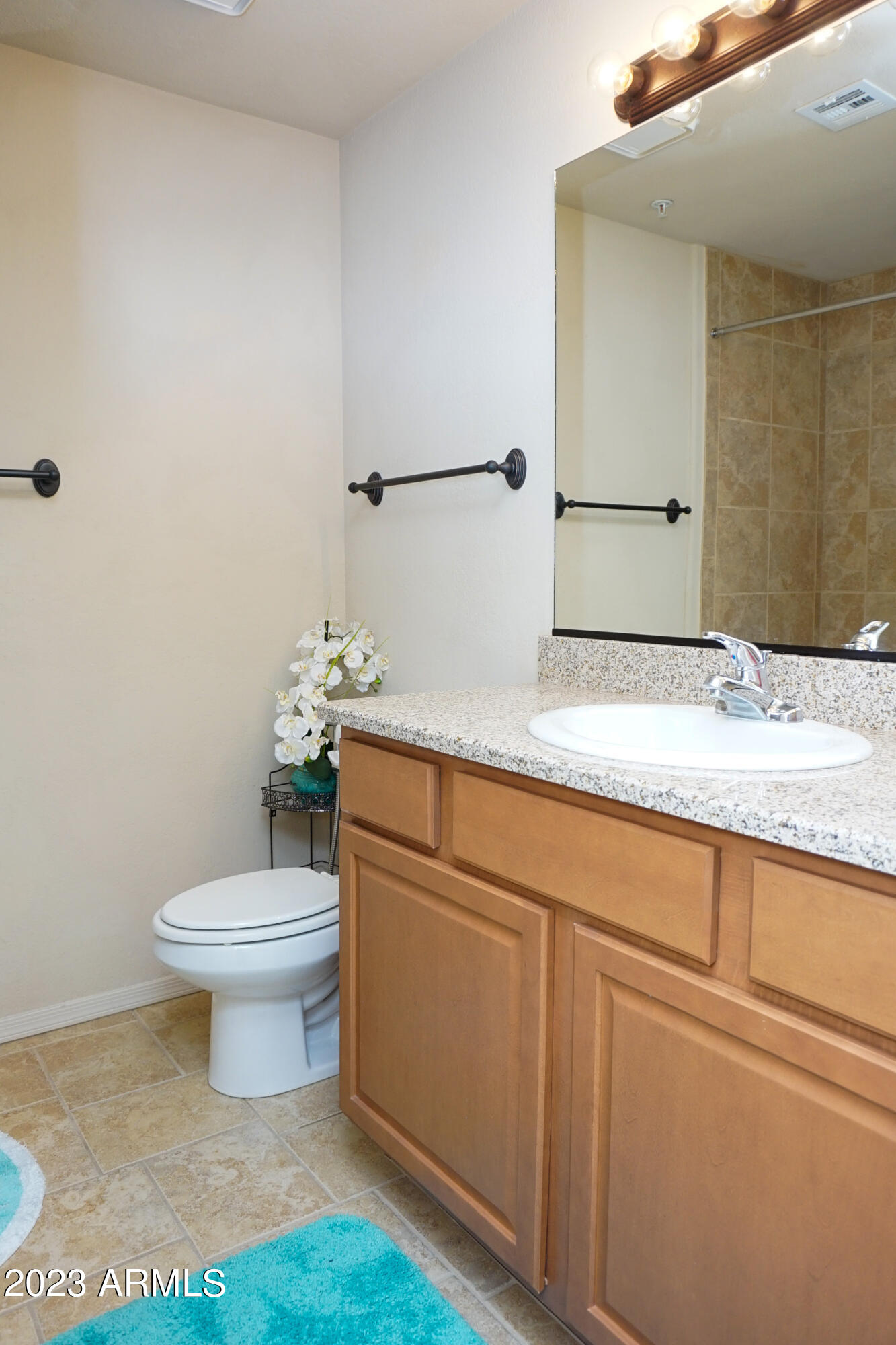2550 East River Road, Unit 4101 Tucson, AZ 85718 - Photo 18 of 34 DSC03920