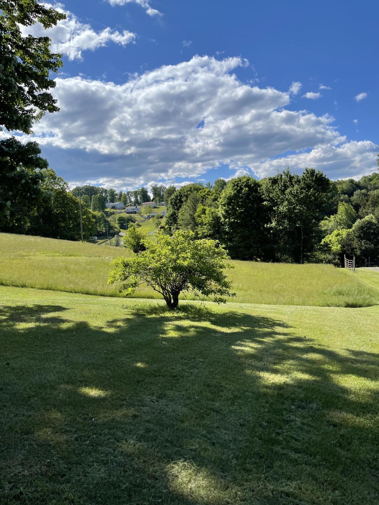431 Carroll Hollow Road Clinton, TN 37716 - Photo 4 of 14 CB0D8D8F-A112-43FD-989D-A27A4A4C9CC2