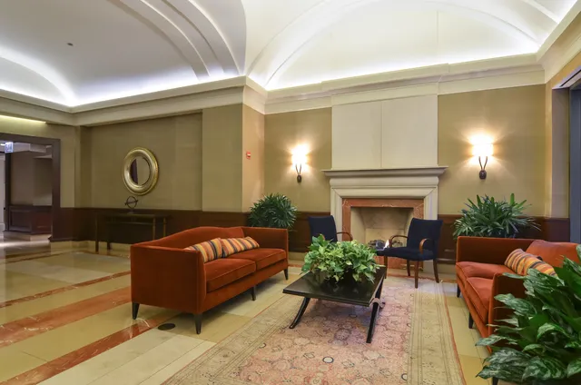 a living room with furniture potted plant and a fireplace