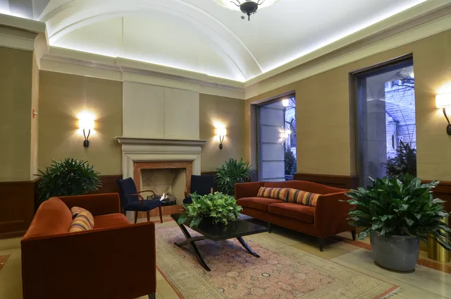a living room with furniture potted plant and a fireplace