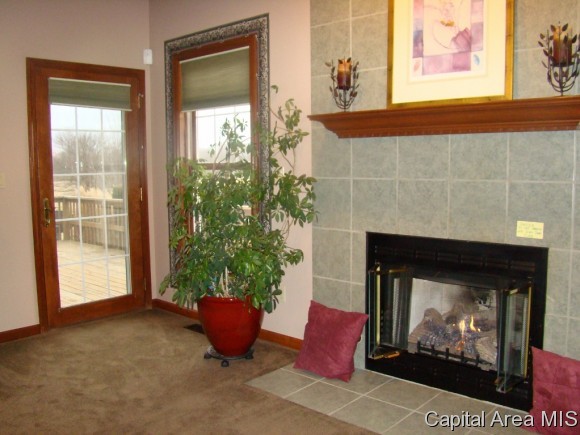 6937 Werner Road Curran, IL 62670 - Photo 12 of 24