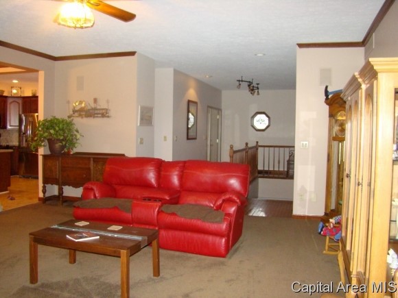 6937 Werner Road Curran, IL 62670 - Photo 13 of 24
