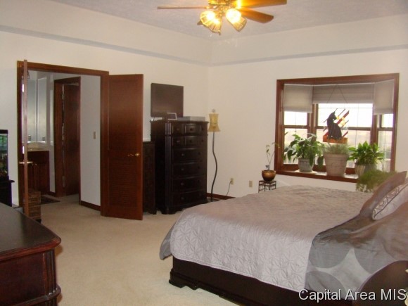 6937 Werner Road Curran, IL 62670 - Photo 15 of 24