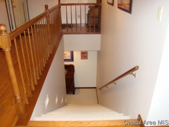 6937 Werner Road Curran, IL 62670 - Photo 21 of 24