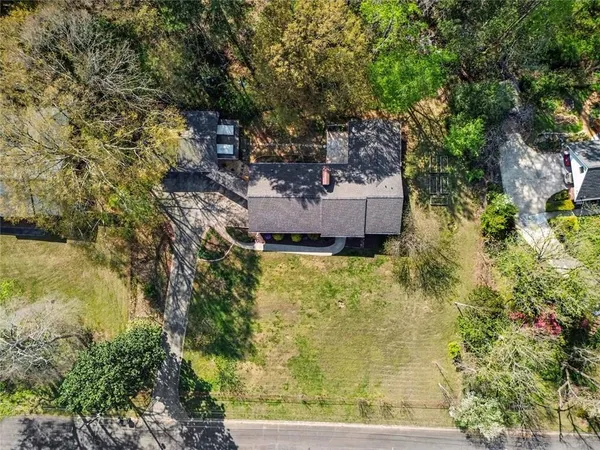 a view of a yard with plants and large trees