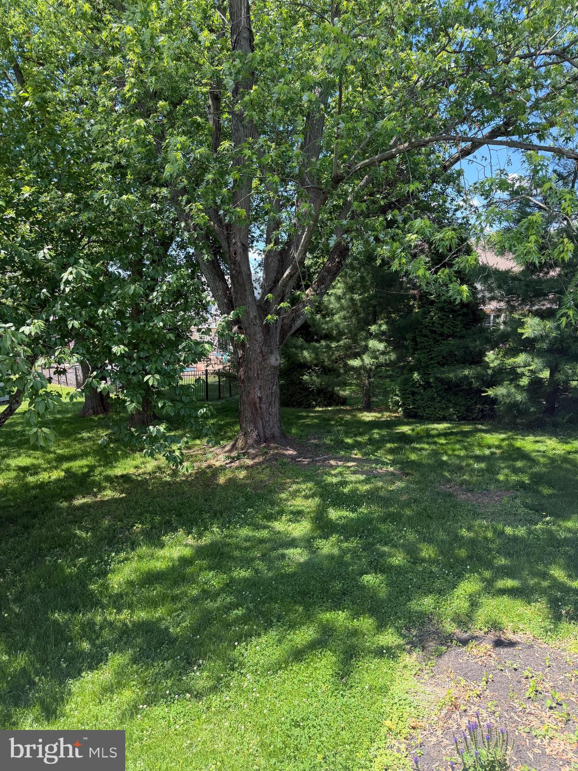 121 MacDade Road Phoenixville, PA 19460 - Photo 8 of 52