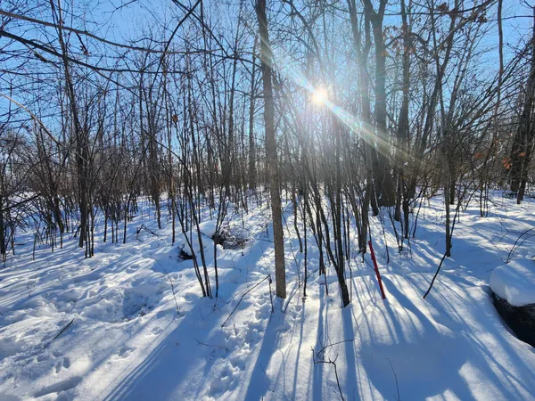 $55,000 | Xxxx Xxxx 175th, Milaca, MN 56353