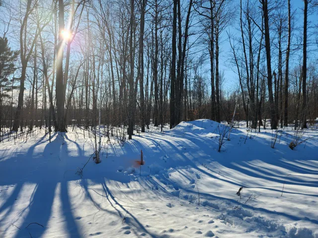 $60,000 | Xxxx Xxxx 175th, Milaca, MN 56353