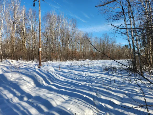 $60,000 | Xxxx Xxxx 175th, Milaca, MN 56353