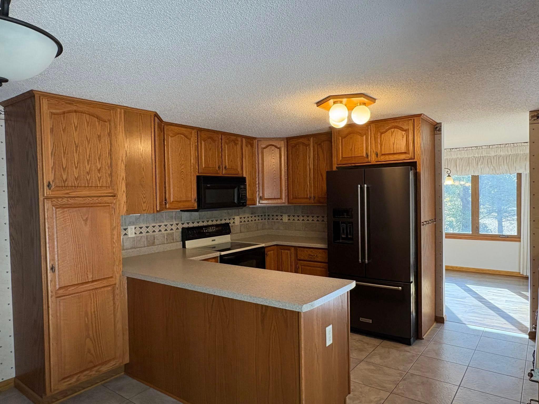 11623 375th Avenue Waseca, MN 56093 - Photo 4 of 12