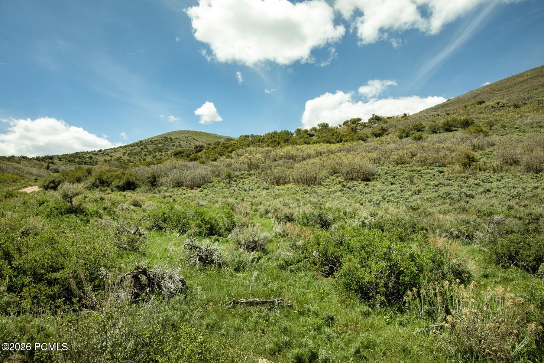 1646 North Miles Holw Road Kamas, UT 84036 - Photo 8 of 35