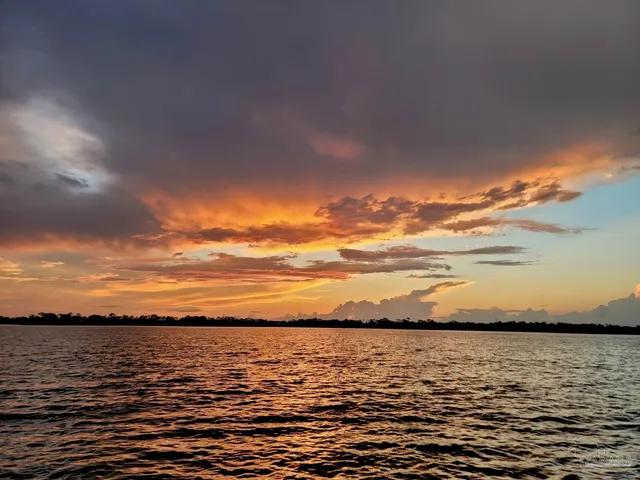a park with lots of tress in the background
