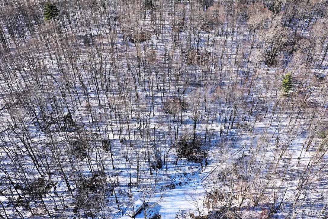 0 Beeman Hollow Road Addison, NY 14801 - Photo 14 of 45