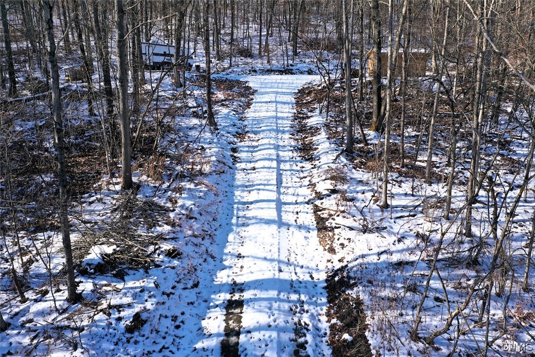 0 Beeman Hollow Road Addison, NY 14801 - Photo 17 of 45