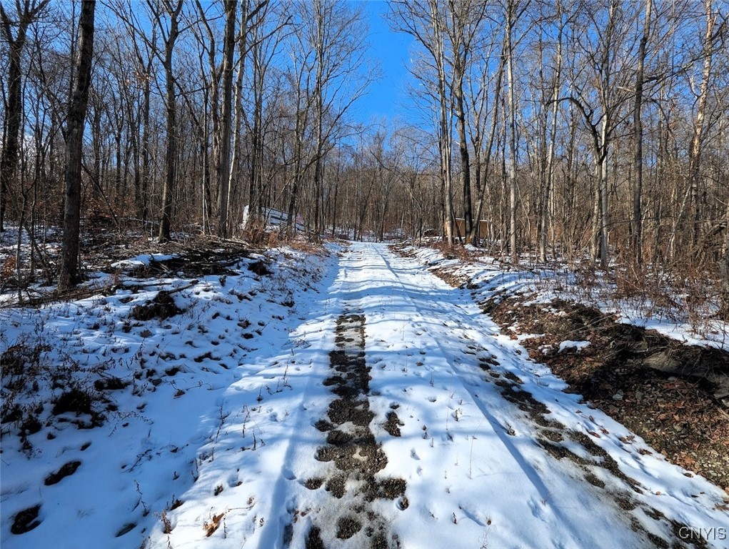 0 Beeman Hollow Road Addison, NY 14801 - Photo 18 of 45